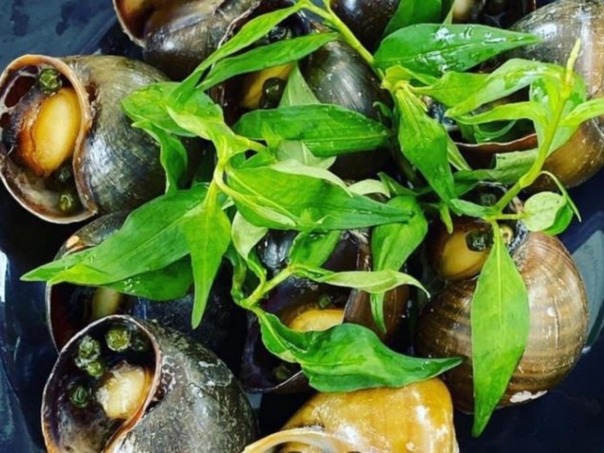 泰宁夜宵，在Cach Mang Thang 8街的Oc Su餐厅。