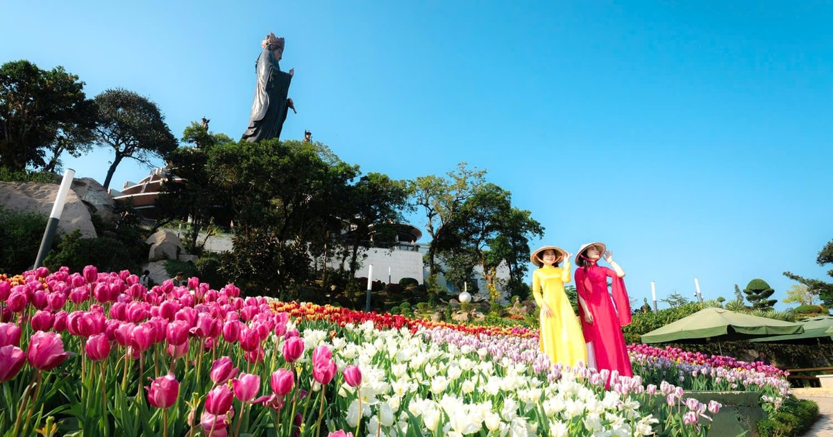 Du khách thích thú check in tại vườn tulip khổng lồ trong Hội Xuân Núi Bà Đen
