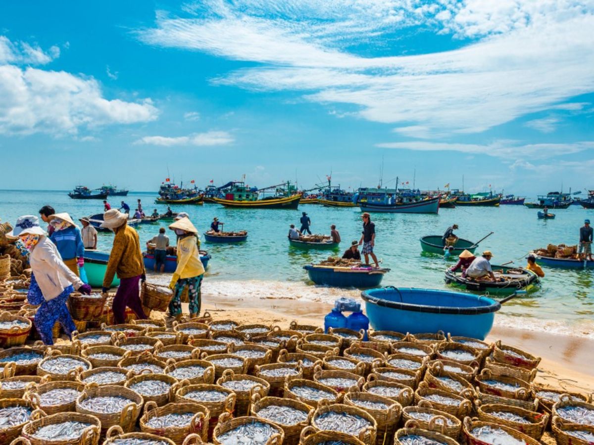 lang-chai-sam-son-noi-ban-co-the-kham-pha-hoa-cung-doi-song-ngu-dan-dia-phuong