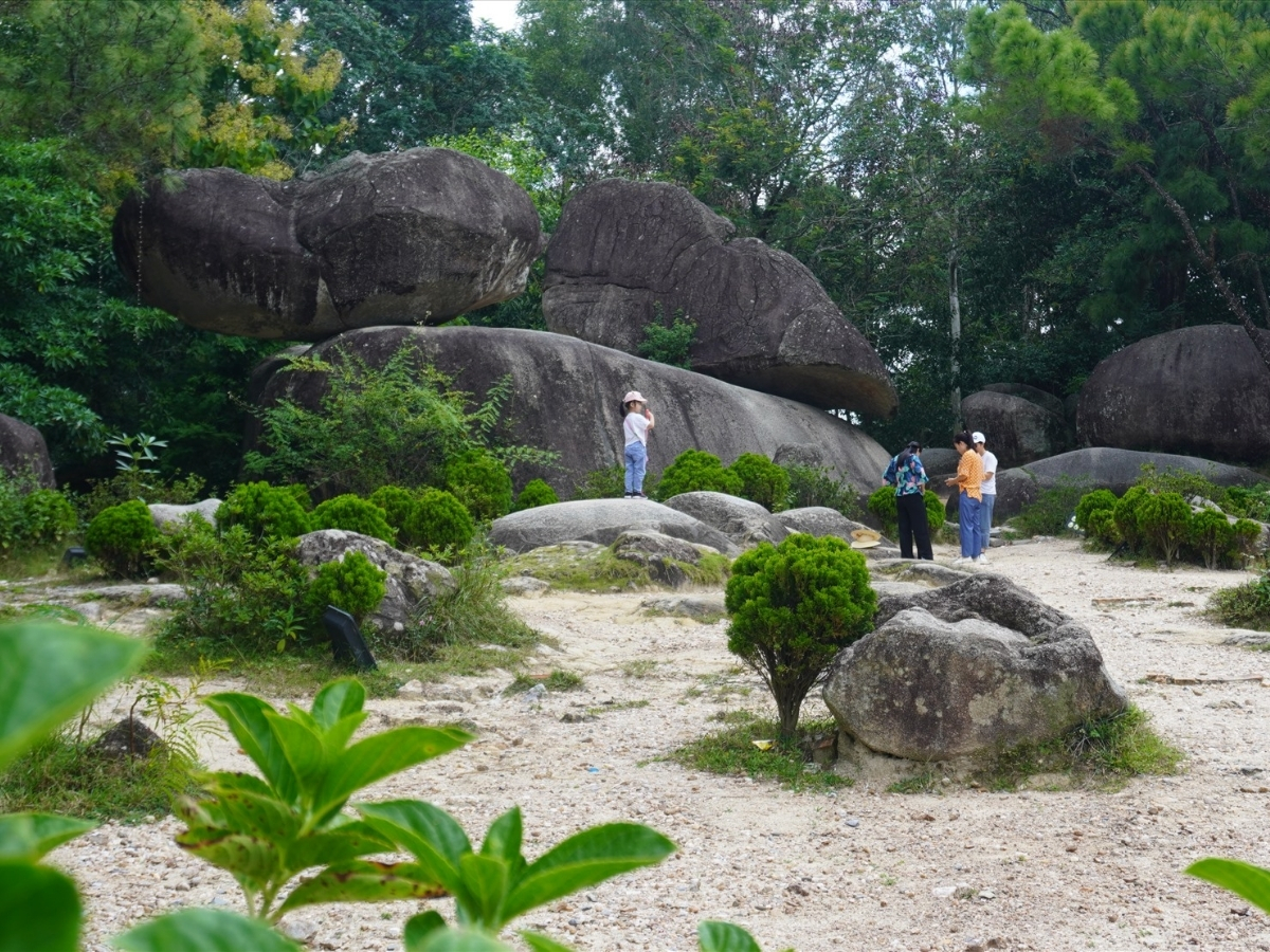 06-hon-trong-mai-bieu-tuong-tinh-yeu-tu-nhien-ban-tang.jpg
