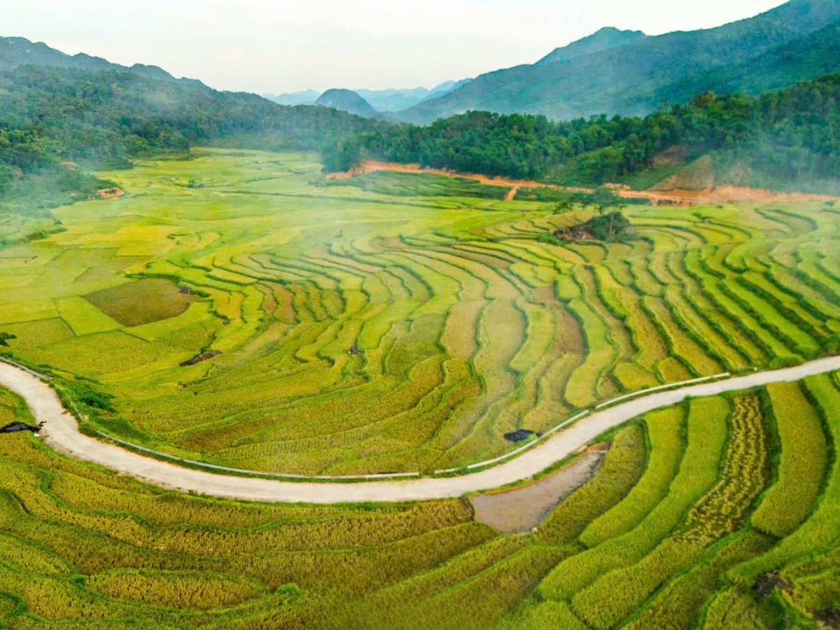 06-pu-luong-duoc-vi-nhu-mai-chau-thu-hai-nam-tai-thanh-hoa.jpg
