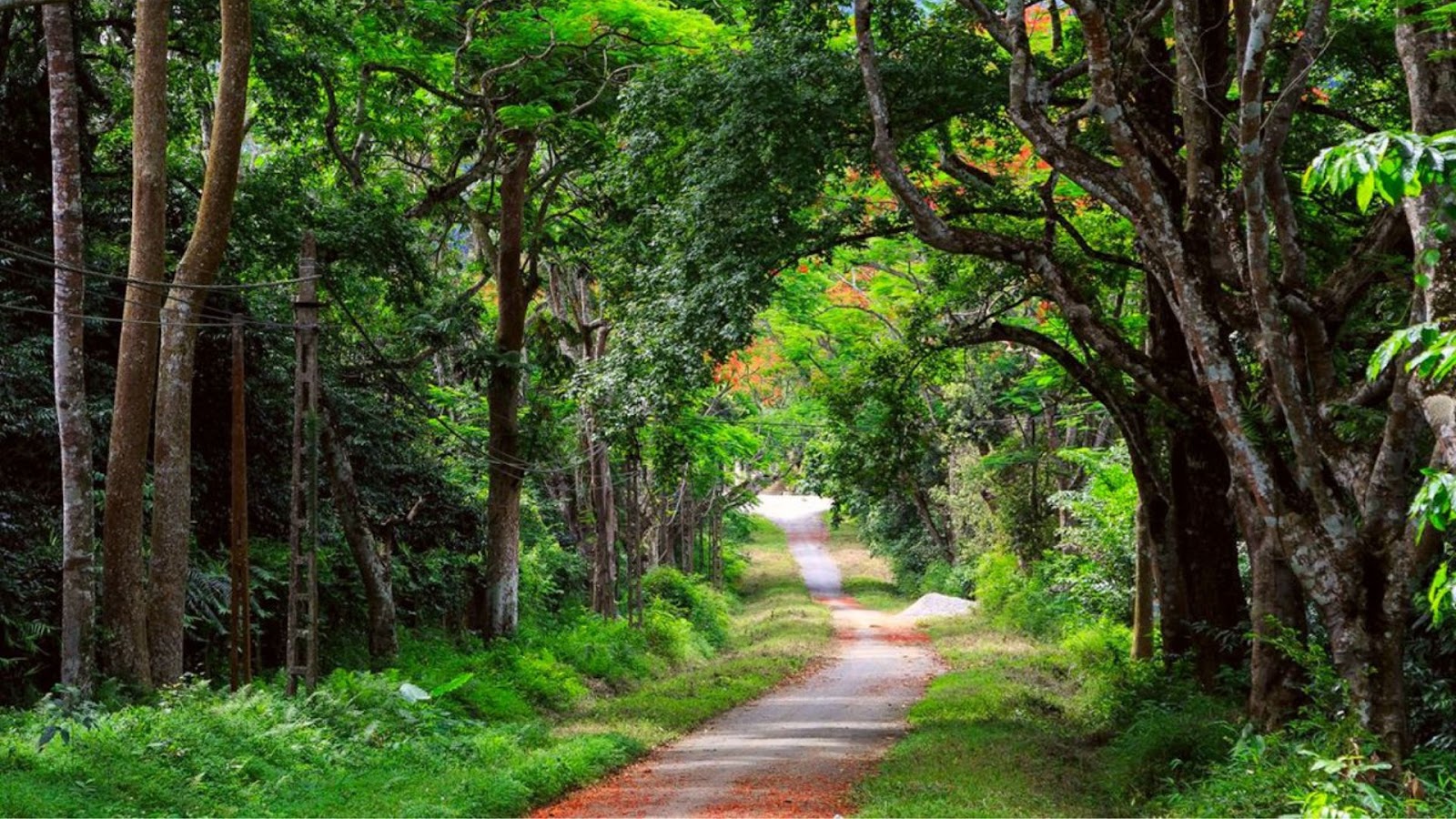 Chuẩn bị hành trang kỹ càng để chuyến đi rừng thật trọn vẹn.