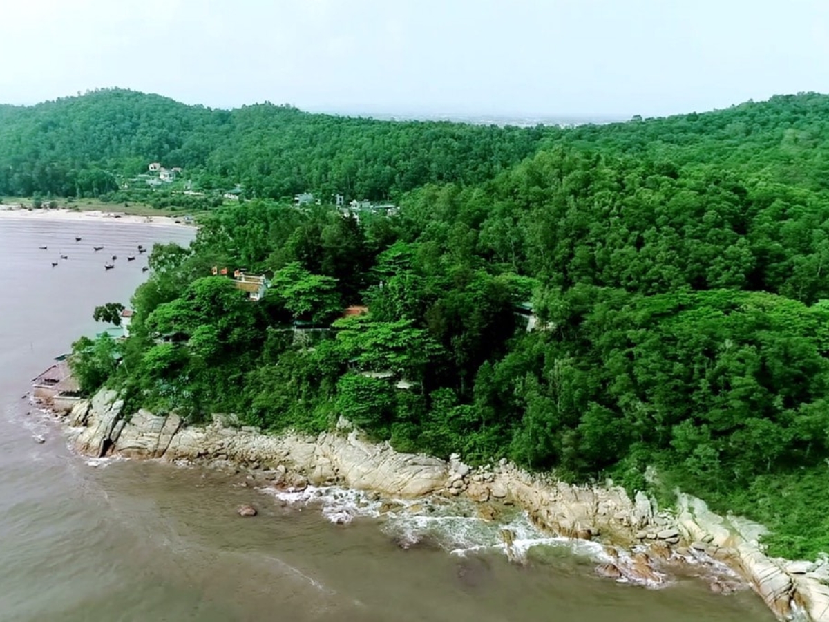 Hệ thống sinh thái rừng ven biển núi Trường Lệ với nhiều loại cây bản địa quý.