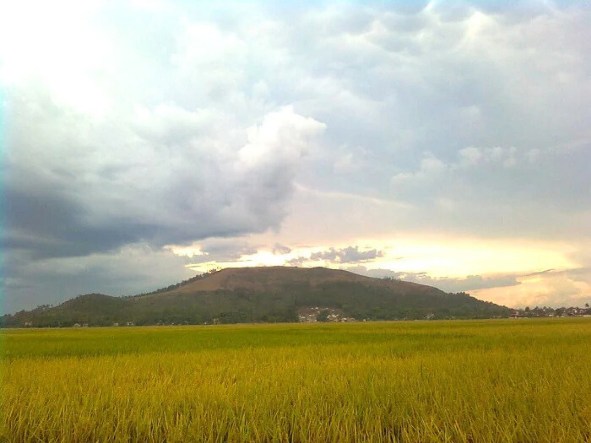 Chuyến du ngoạn đến núi Đọ Thanh Hóa mở ra cho du khách nhiều trải nghiệm đặc sắc khó quên.