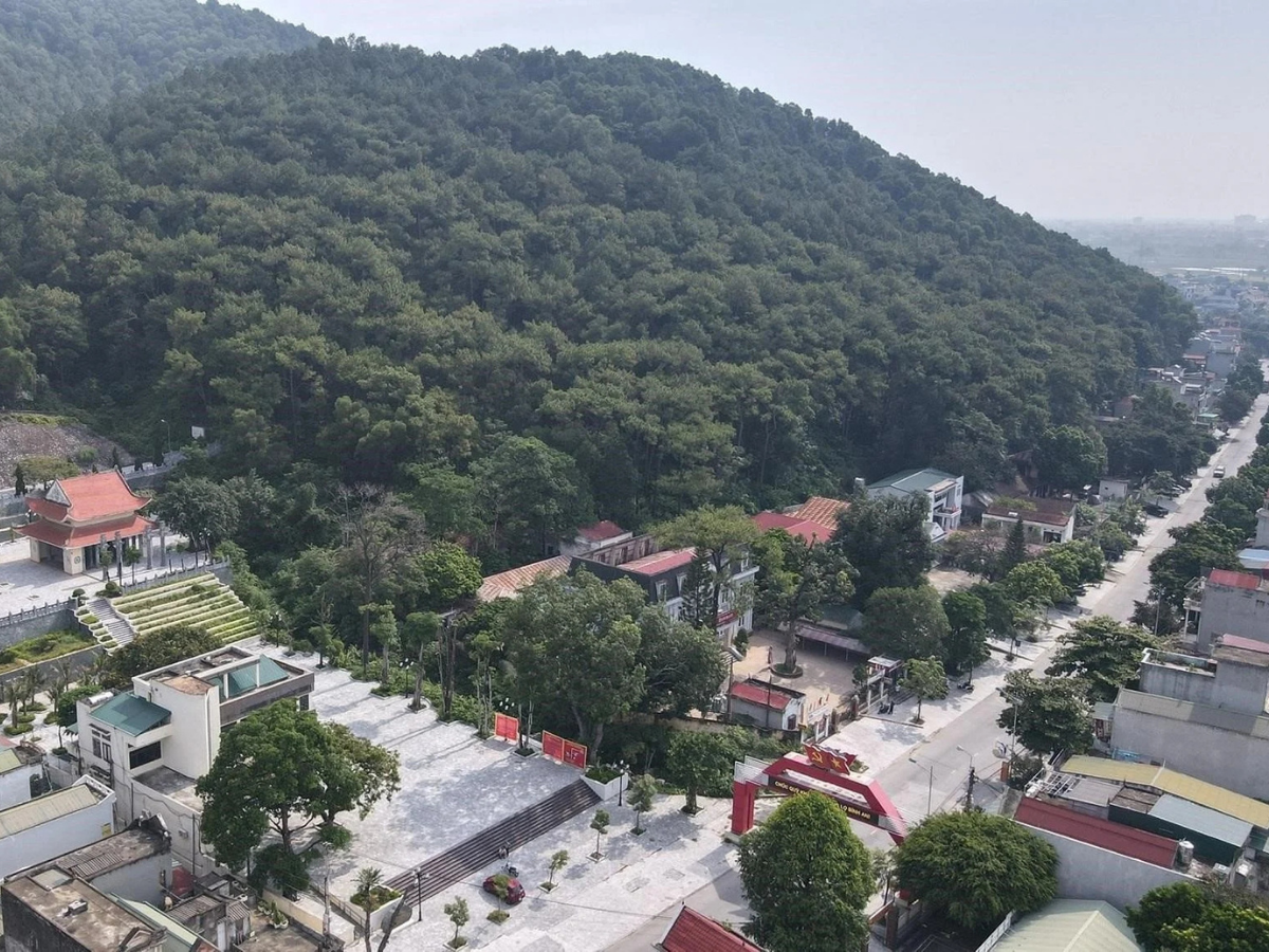 Rừng Thông Đông Sơn toạ lạc tại phường Hạc Thành, tỉnh Thanh Hoá, là khu vực chiến lược phía tây của tỉnh.