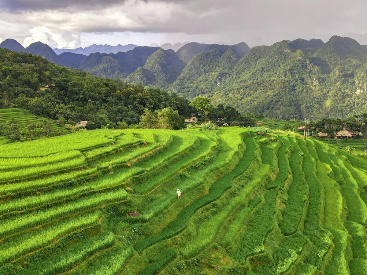 Chi phí du lịch Thanh Hóa dịp Tết cao hơn so với ngày thường nhưng vẫn thấp hơn các điểm du lịch khác.