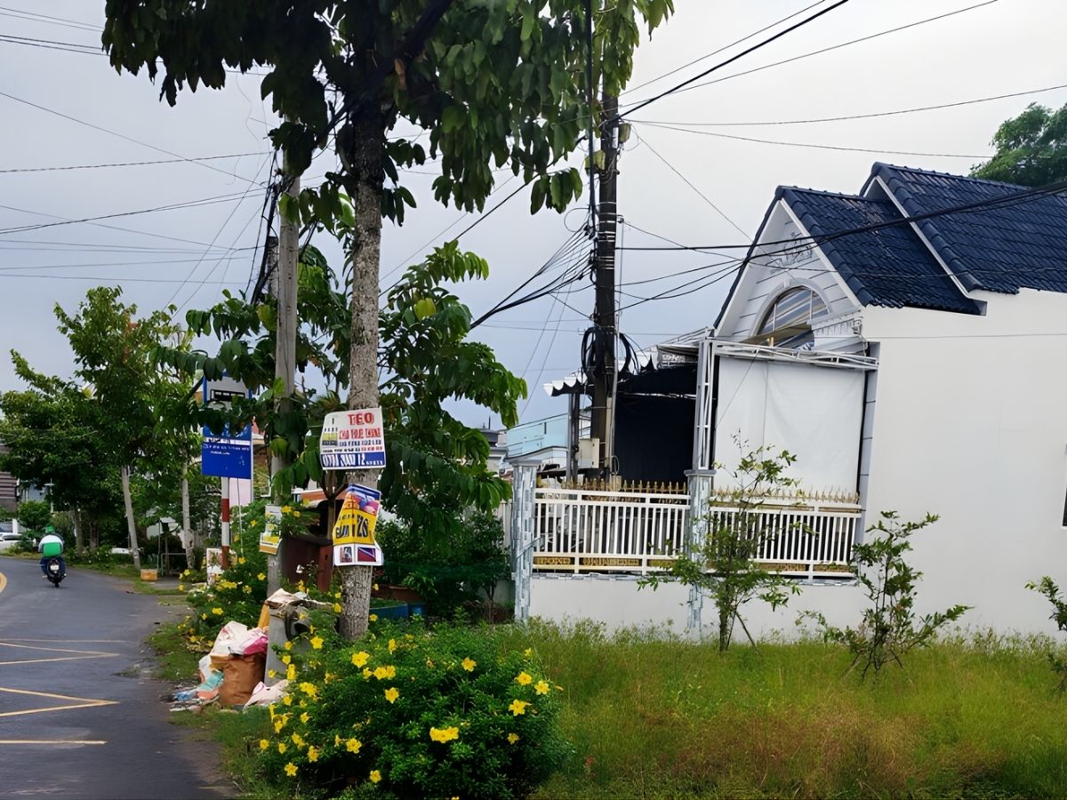 Trồng cây xanh giúp giảm tác động cột điện trước cửa.