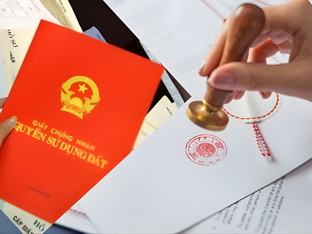 Hoạt động chuyển giao quyền sử dụng đất và sở hữu nhà phải tuân thủ quy định pháp luật.