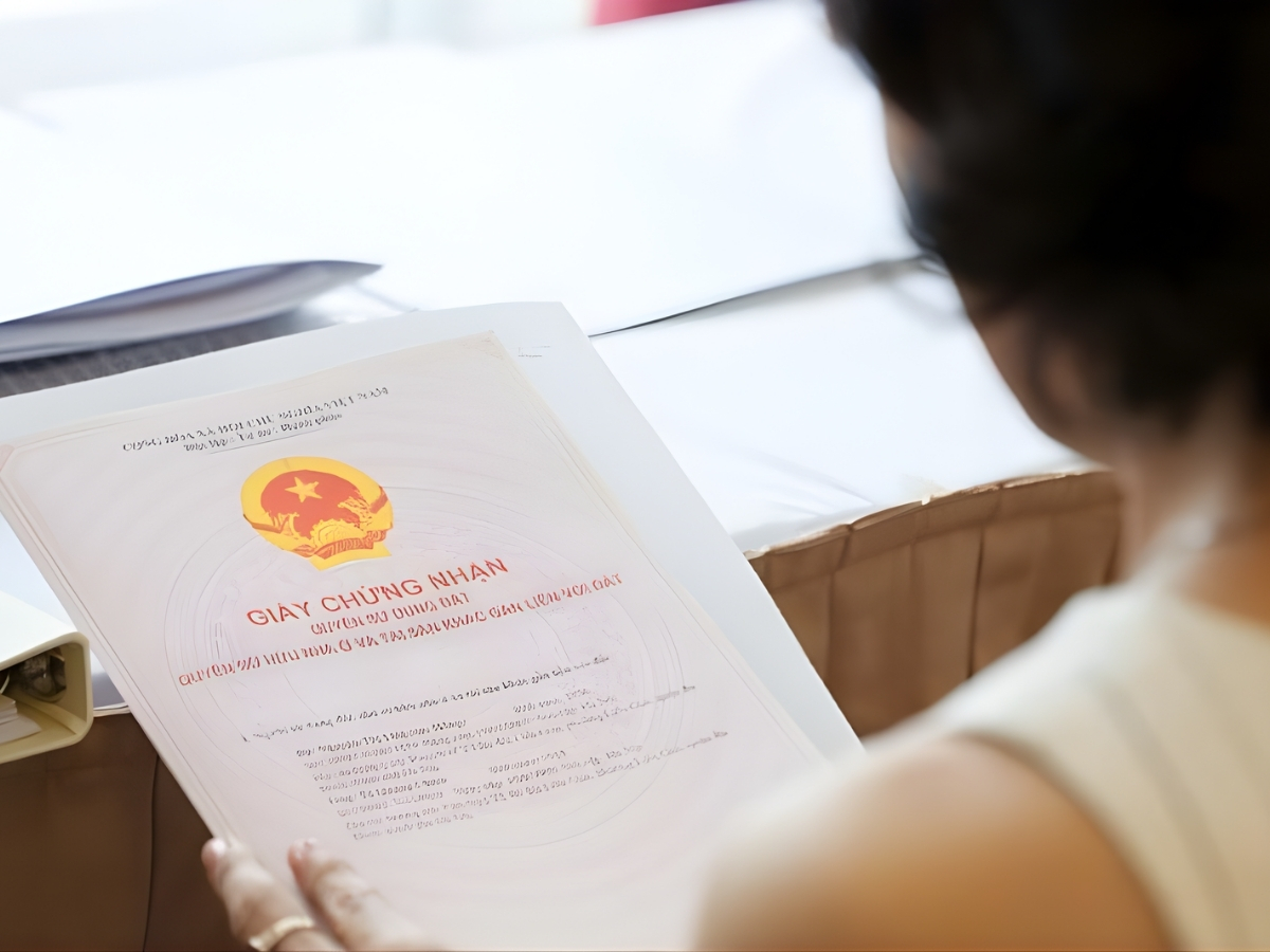 Luật sư có thể kiểm tra hồ sơ hợp đồng để nhanh chóng phát hiện rủi ro pháp lý.