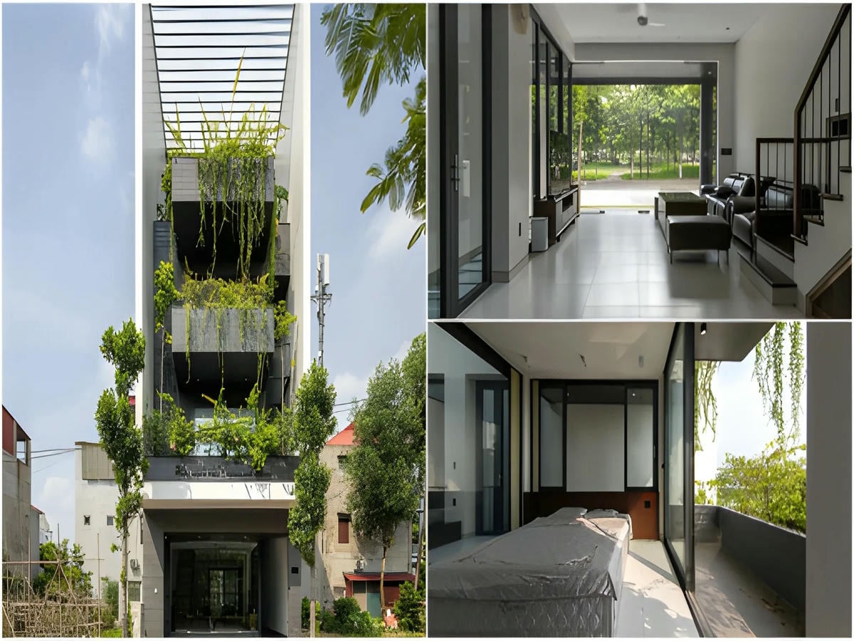 Lựa chọn hướng nhà phù hợp giúp cân bằng năng lượng và khí hậu.