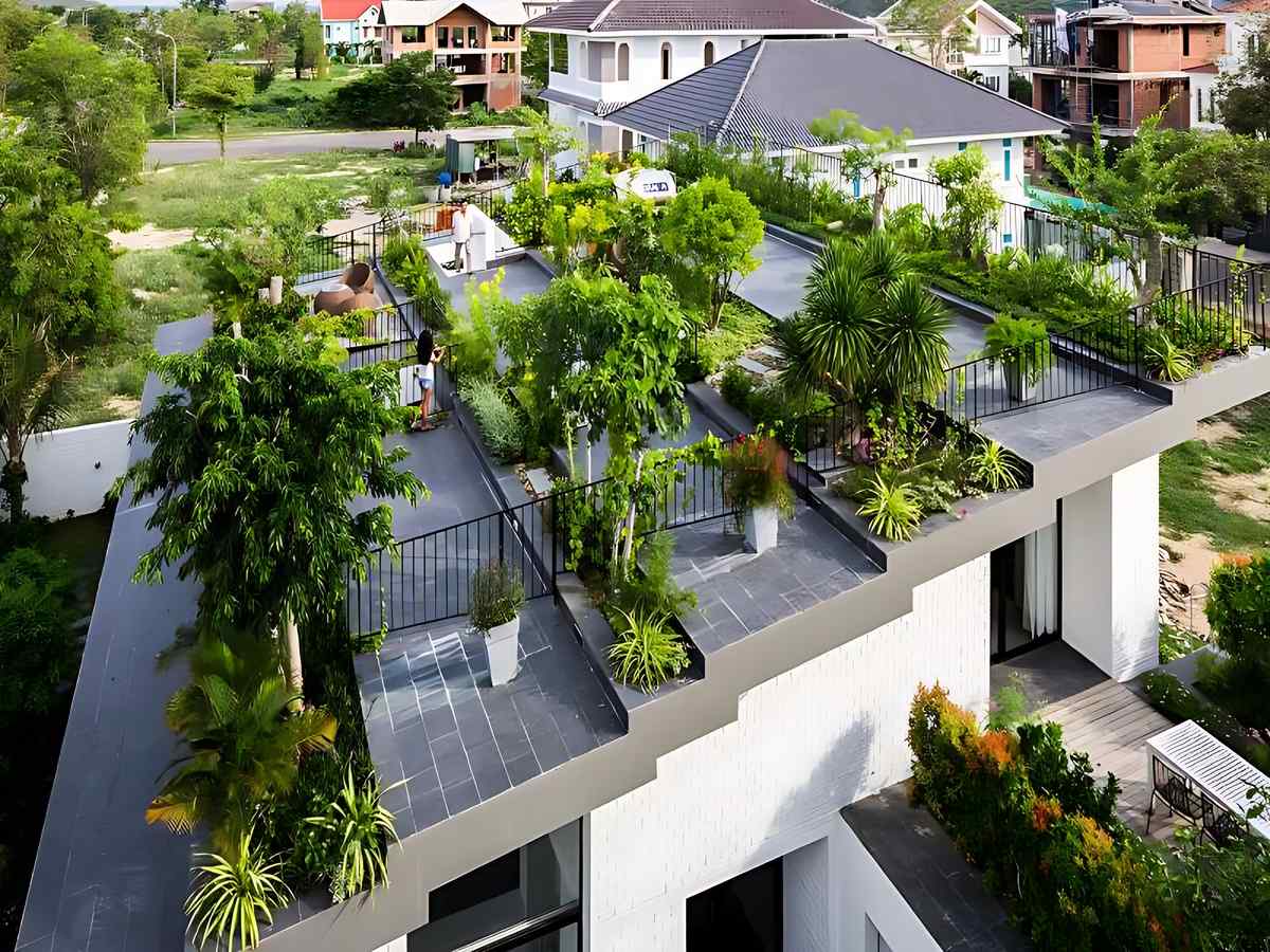 Lựa chọn cây chịu nắng và ít rụng lá cho không gian sân thượng.