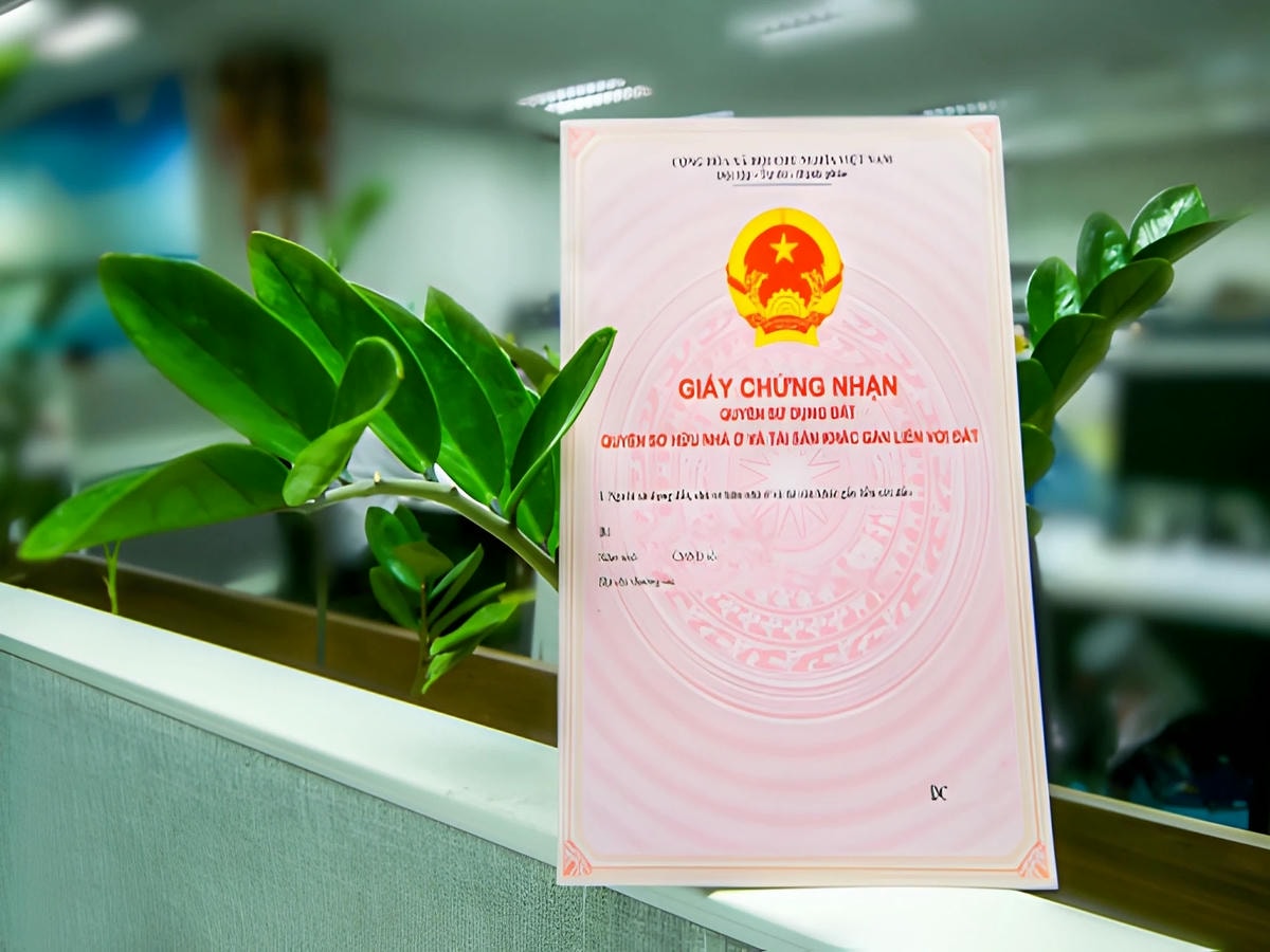 Giấy kê khai 99 là hồ sơ thống kê đất đai, không xác nhận quyền sở hữu hợp pháp.
