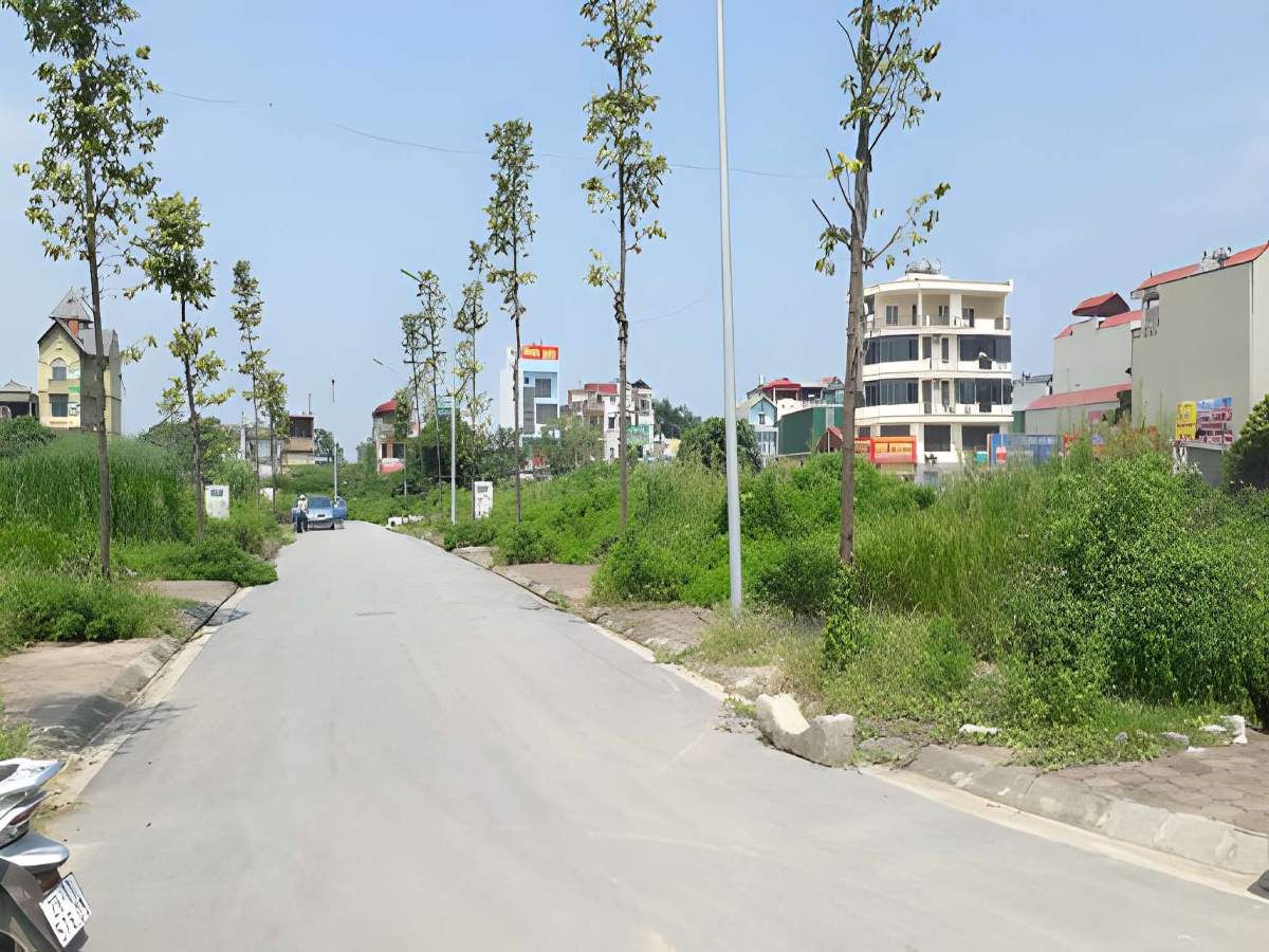 Đất dịch vụ là đất được cấp sau thu hồi nông nghiệp để hỗ trợ sinh kế.