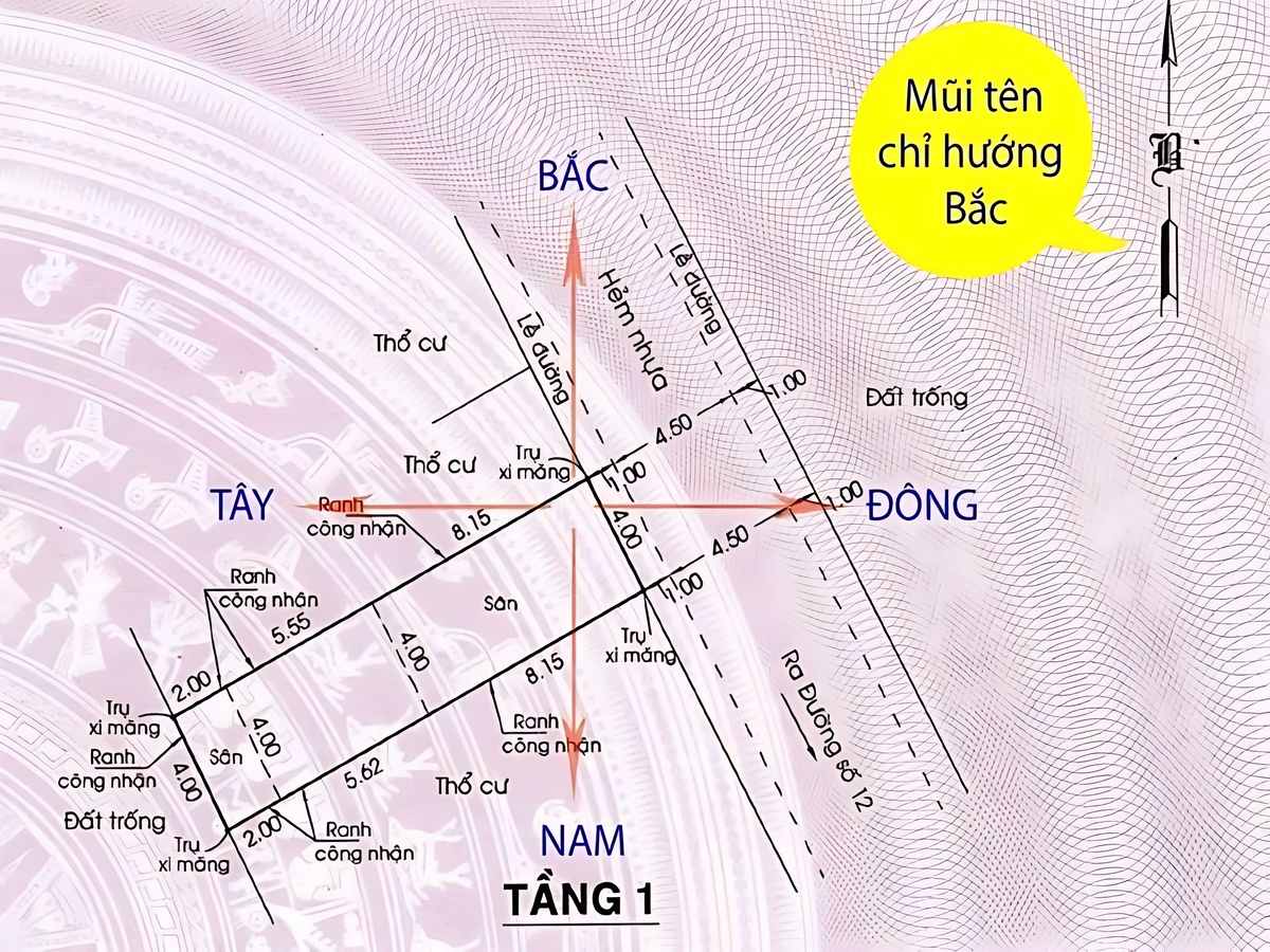 Hình ảnh nhà hướng Tây Nam phù hợp người Tây tứ mệnh. (Nguồn: Sưu tầm)