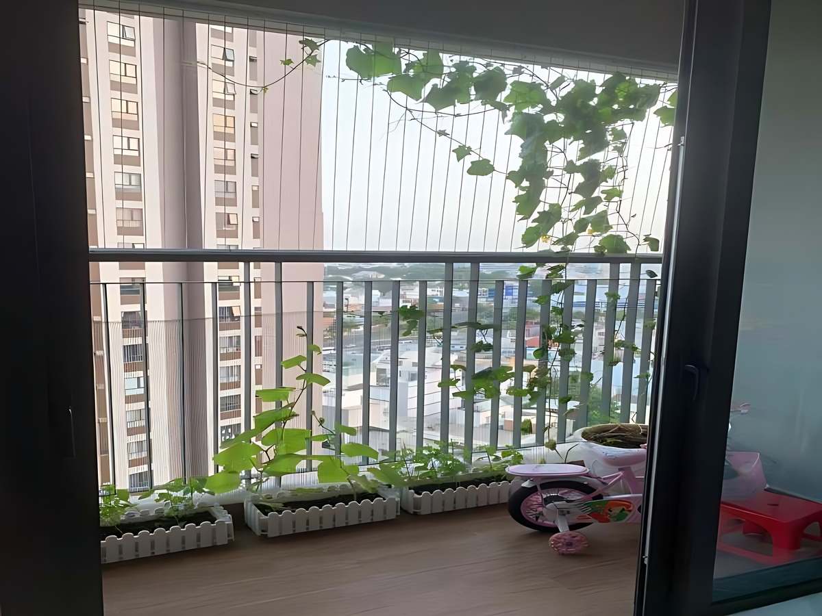 Căn hộ hướng Nam đón ánh sáng ổn định và gió mát tự nhiên