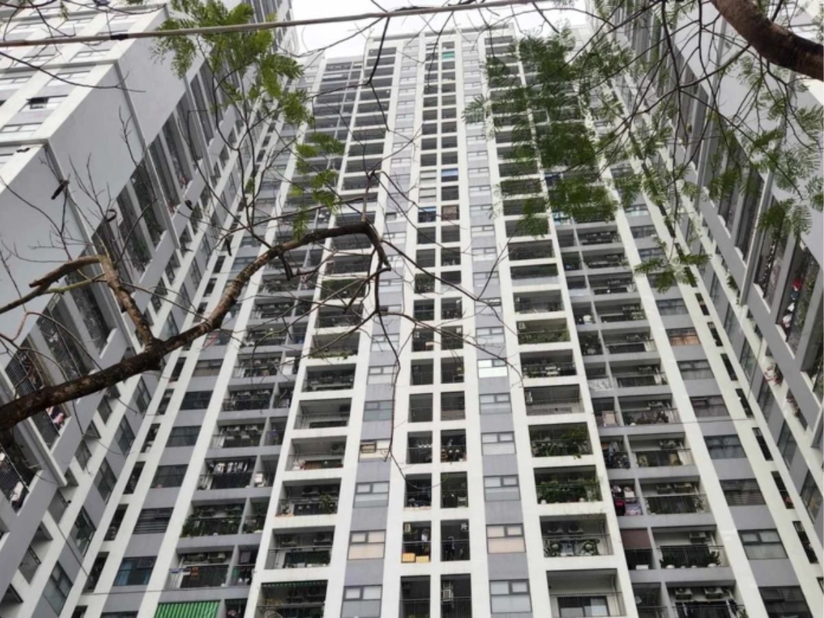 Đầu tư chứng khoán hay bất động sản cân nhắc khả năng sinh lời