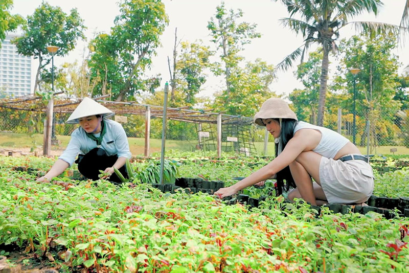 Trang trại Furama giúp du khách có những trải nghiệm thú vị với thiên nhiên