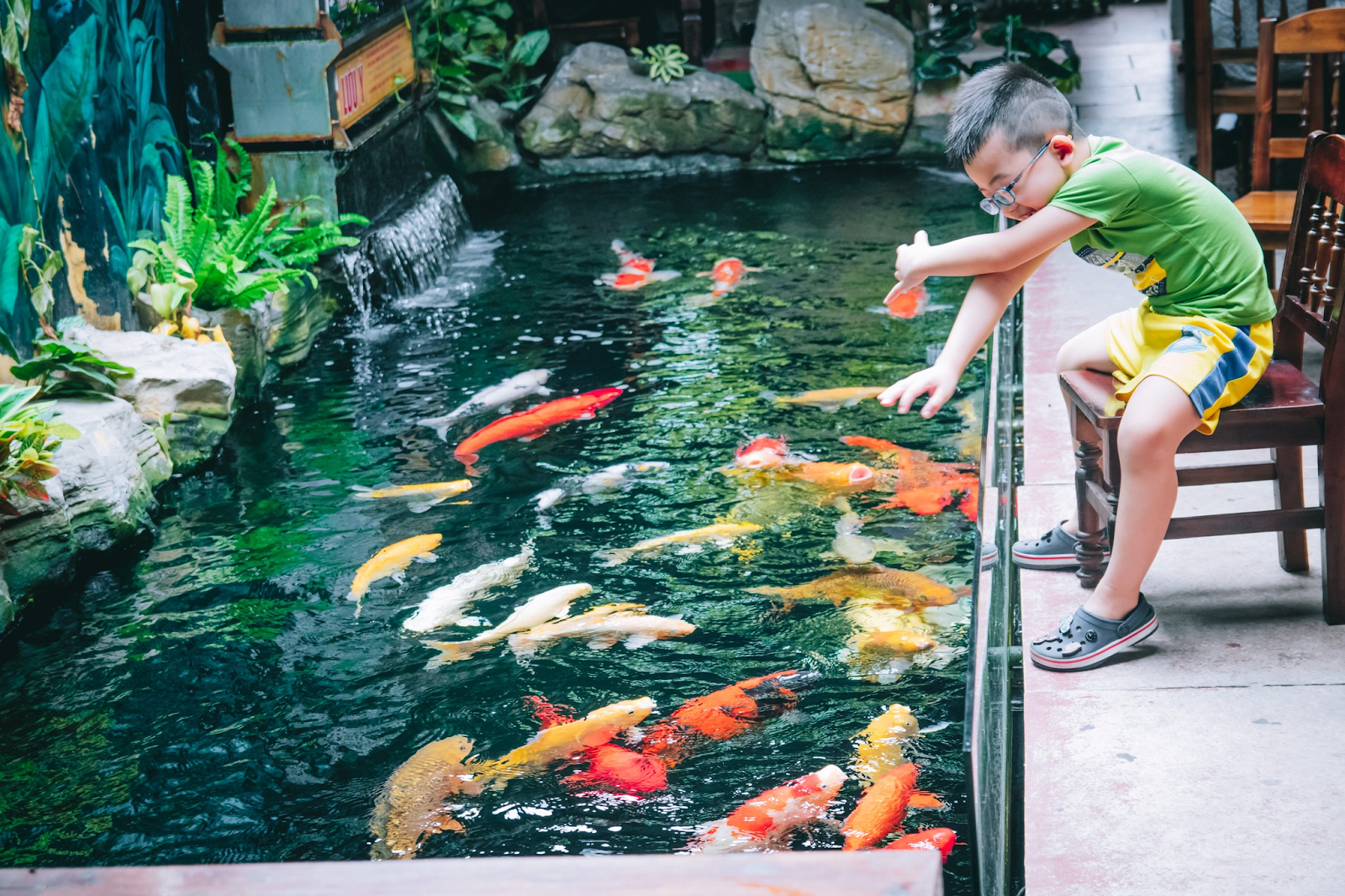 View hồ cá koi ở Du là địa điểm yêu thích của nhiều người khi ghé tới đây (Nguồn: Du Cafe Koi)