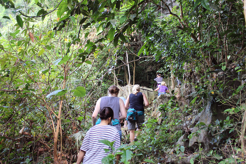 Nhóm du khách trải nghiệm chuyến trekking - leo núi lý thú tại Vườn quốc gia Cát Bà