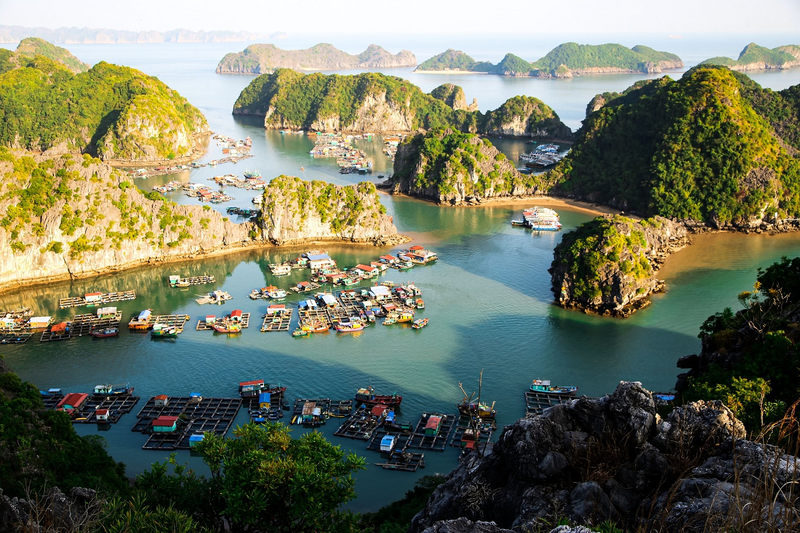 Làng chài Cái Bèo gồm nhiều ngôi nhà sàn và tàu bè liên kết với nhau thành từng nhóm nhỏ