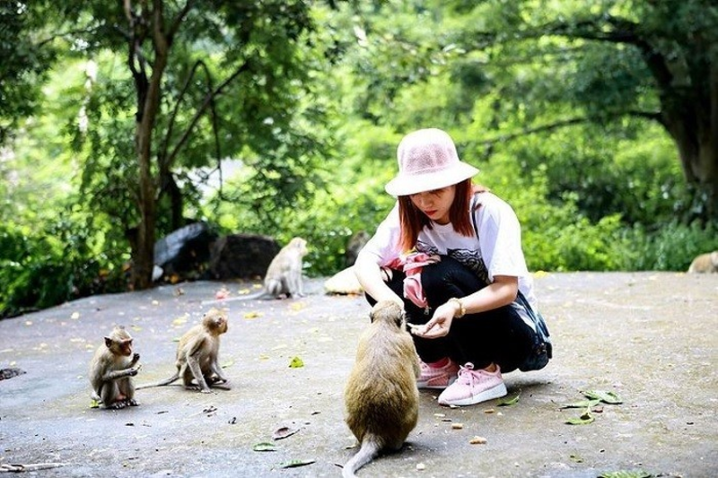 Du khách giao lưu cùng đàn khỉ sinh sống trên đảo Cát Dứa