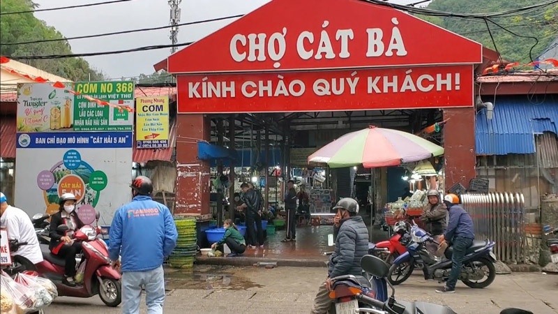 Chợ Cát Bà là địa điểm mua hải sản tươi ngon, giá cả hợp lý