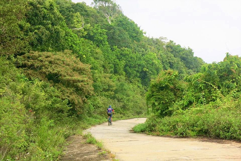 Đường lên Hải đăng Tiên Sa được bao bọc bởi rừng cây xanh mát