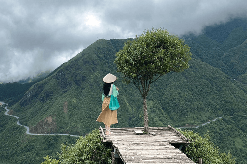 Du khách nữ chụp ảnh tại cây cầu gỗ giản dị gần cây cô đơn