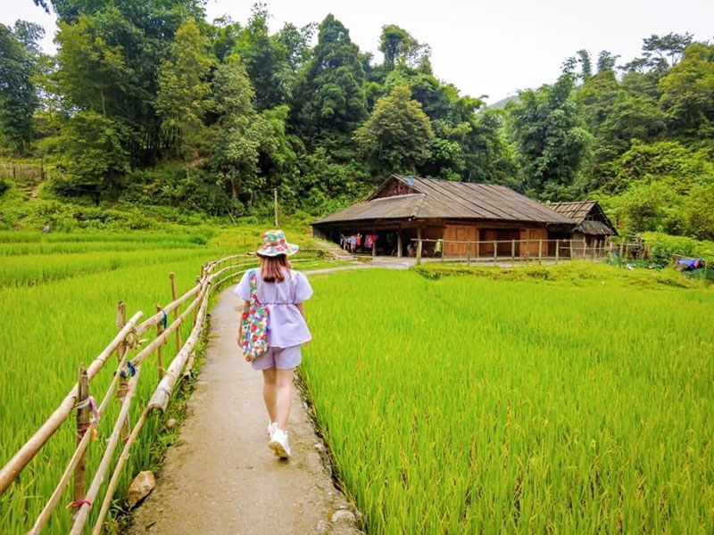 Tản bộ trong tư thế quay lưng với ống kính trên con đường dẫn đến gian nhà gỗ nhà nhỏ đơn sơ (Nguồn: Bùi Quyết)