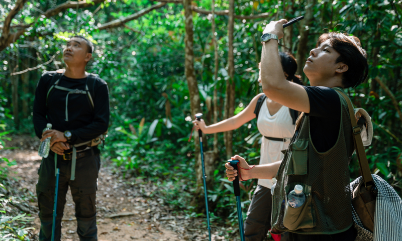 Khi còn mở cửa, du khách thường chọn vườn quốc gia Phú Quốc làm địa điểm trekking để khám phá và chiêm ngưỡng cảnh quan thiên nhiên hữu tình