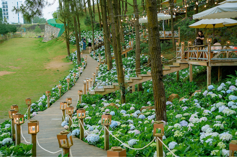 Không gian lãng mạn ngập tràn hoa cẩm tú cầu bên trong La Luna Coffee