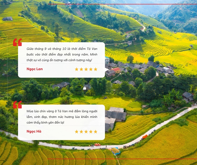 Chia sẻ của du khách khi du lịch bản Tả Van mùa lúa chín