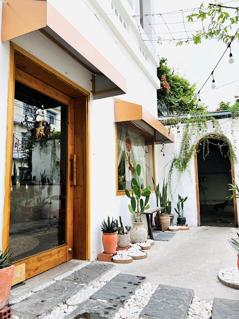 Chậu cây và cây dây leo đẹp mắt được trang trí tại lối vào trước cửa quán Nabi Tea n More