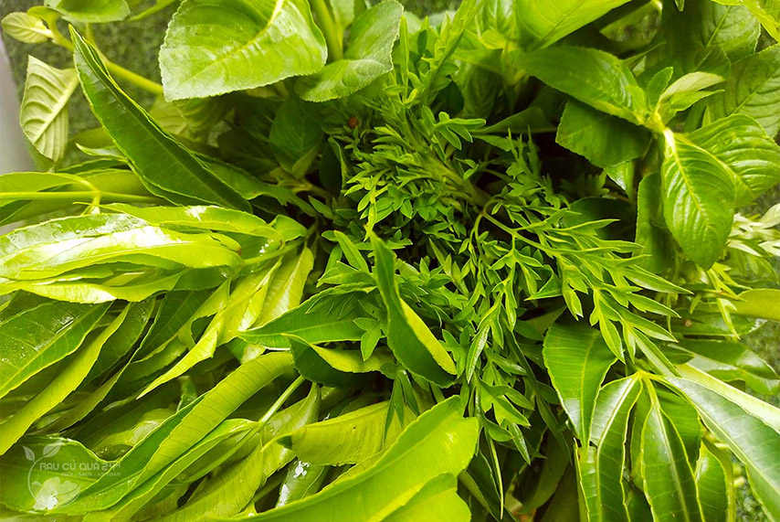 Các loại rau rừng ở Tây Ninh 