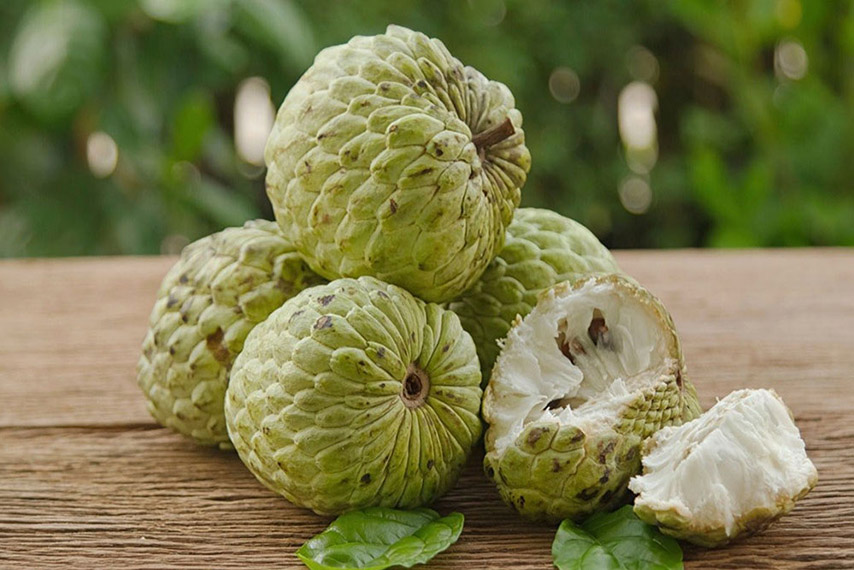 Trái mãng cầu Tây Ninh quả to và thịt trắng ngần