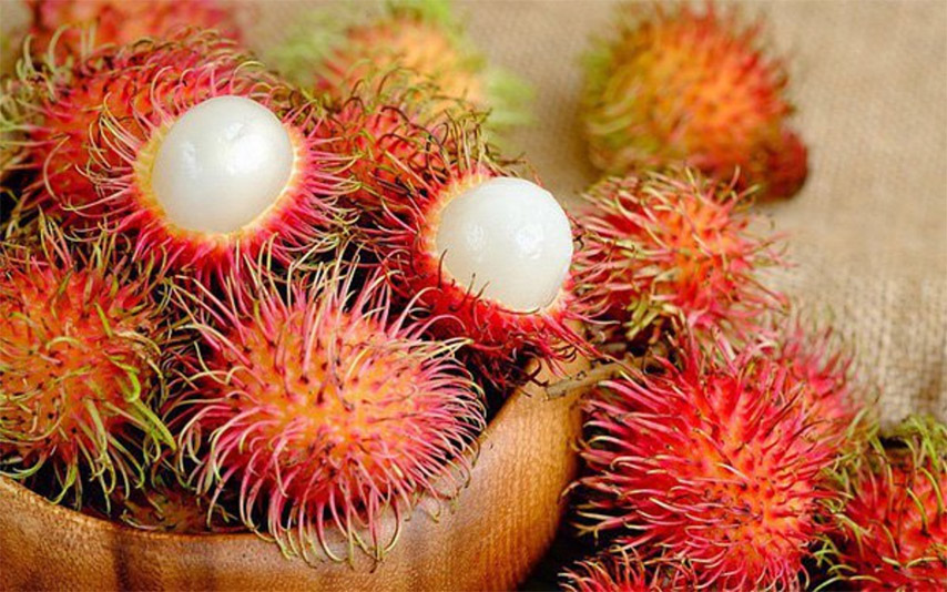 Quả chôm chôm Tây Ninh có phần cùi dày mọng nước