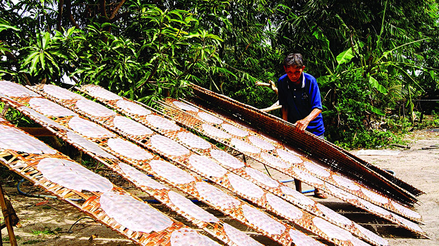 Hàng trăm vỉ bánh tráng phơi sương đều tăm tắp tại xứ Trảng 