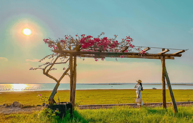 Giàn hoa giấy rực rỡ tô điểm hương sắc cho không gian cắm trại