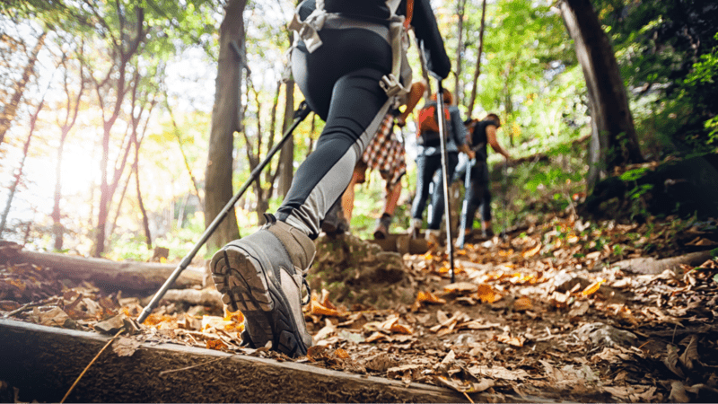 Du khách nên đi theo nhóm ít nhất 3 người trở lên để đảm bảo an toàn khi trekking