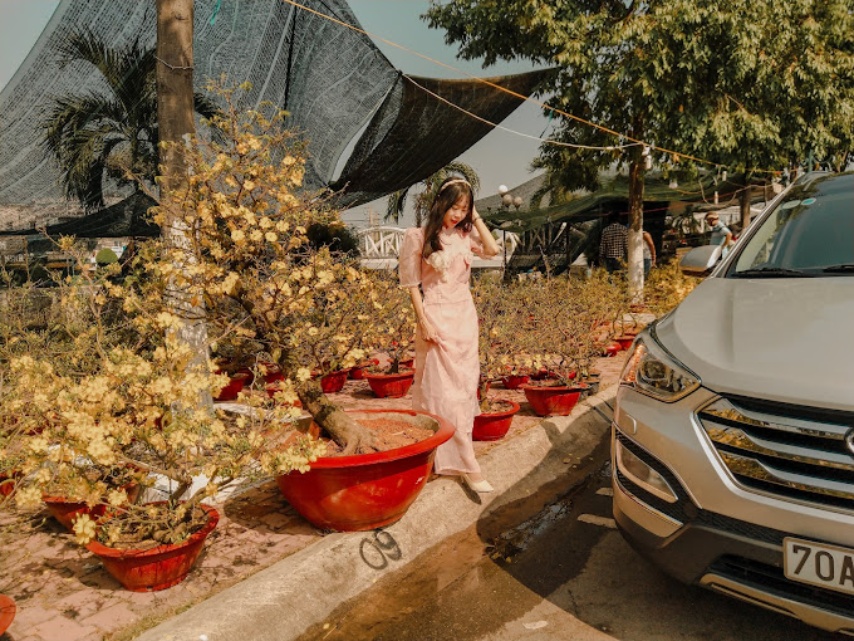 Du khách “sống ảo” cùng những gốc mai