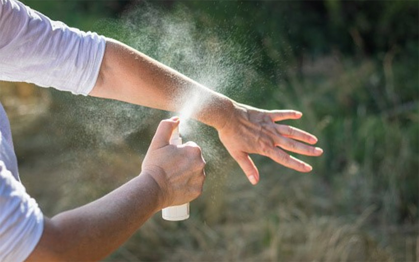 Du khách nên trang bị thuốc xịt côn trùng để tránh muỗi và các loại côn trùng khác 