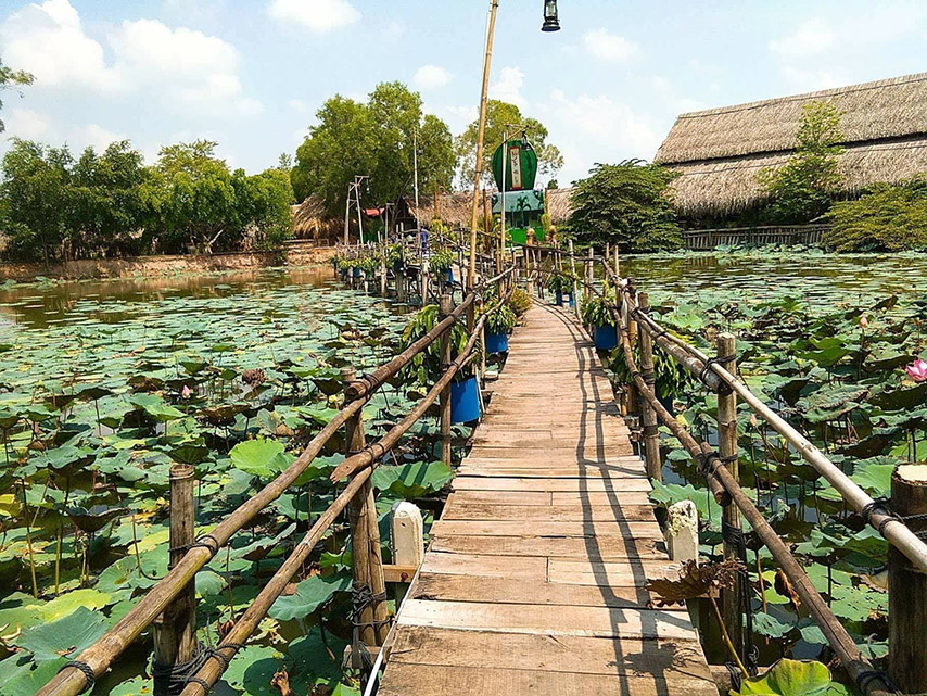Đầm sen trên đường dẫn vào khu du lịch 
