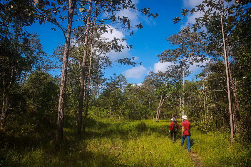 Đi bộ trekking tại khu du lịch sinh thái được nhiều bạn trẻ hưởng ứng