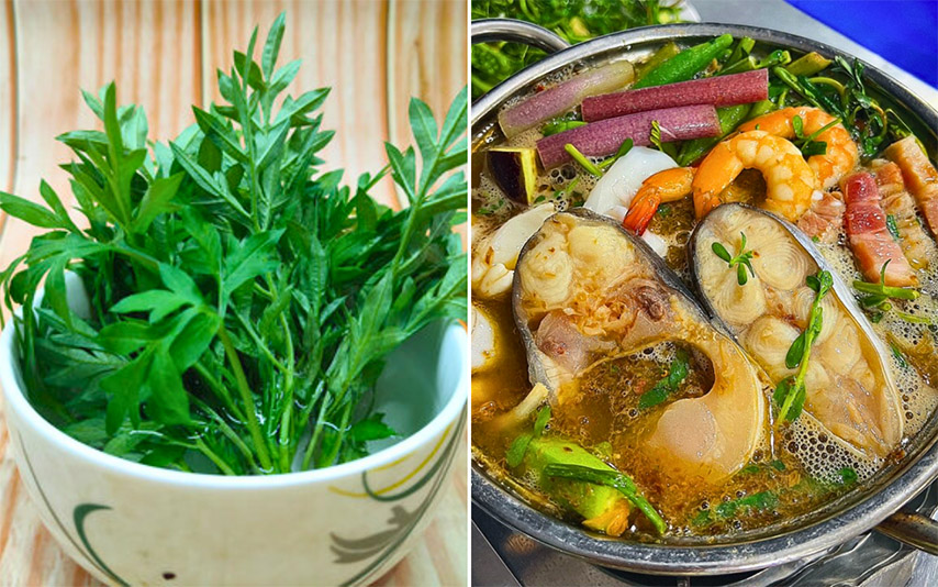Món rau sao nhái nhúng lẩu mắm 