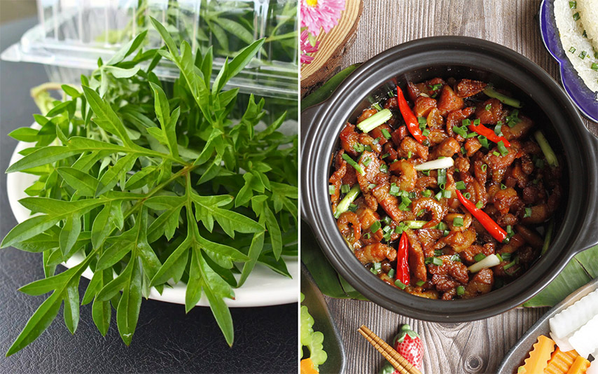 Rau sao nhái chấm cùng món kho mang đến hương vị tuyệt hảo