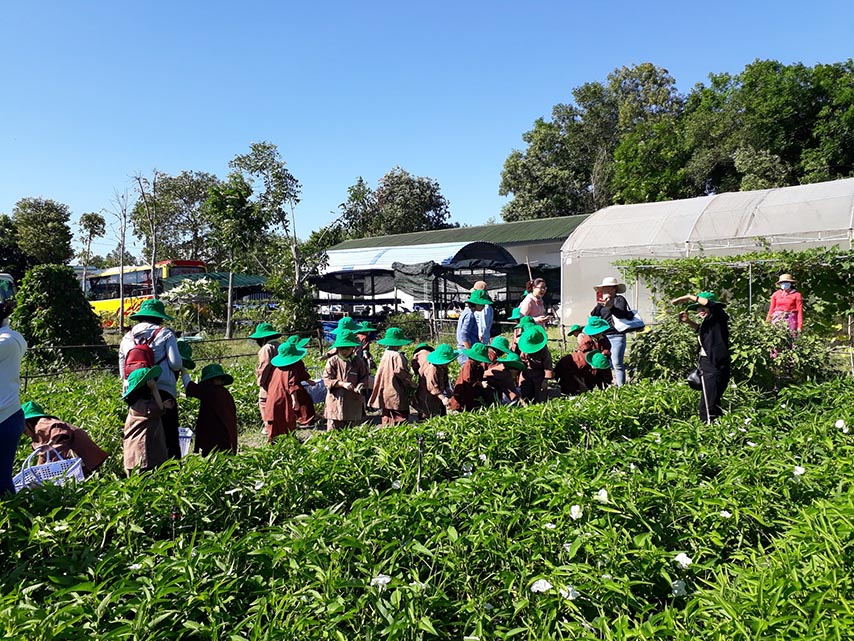 Nông trại Nam Trạng là địa điểm du lịch trải nghiệm lý tưởng cho các gia đình có trẻ nhỏ 