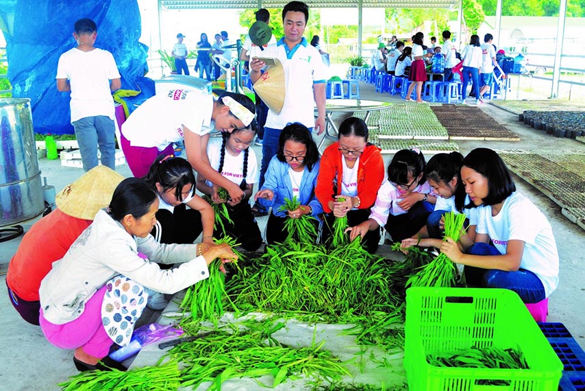 Các em nhỏ thích thú với hoạt động sơ chế rau tại nông trại Nam Trạng 