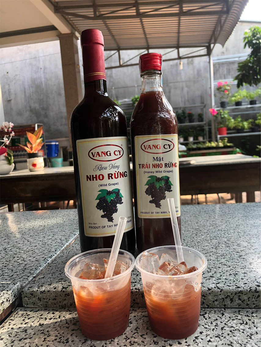 Rượu nho rừng Vang Cy tại vườn nho Tây Ninh  