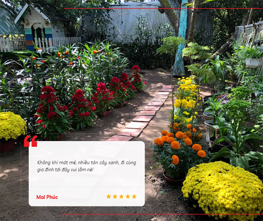 Du khách để lại đánh giá tích cực khi trải nghiệm không gian vườn trái cây Gò Chùa