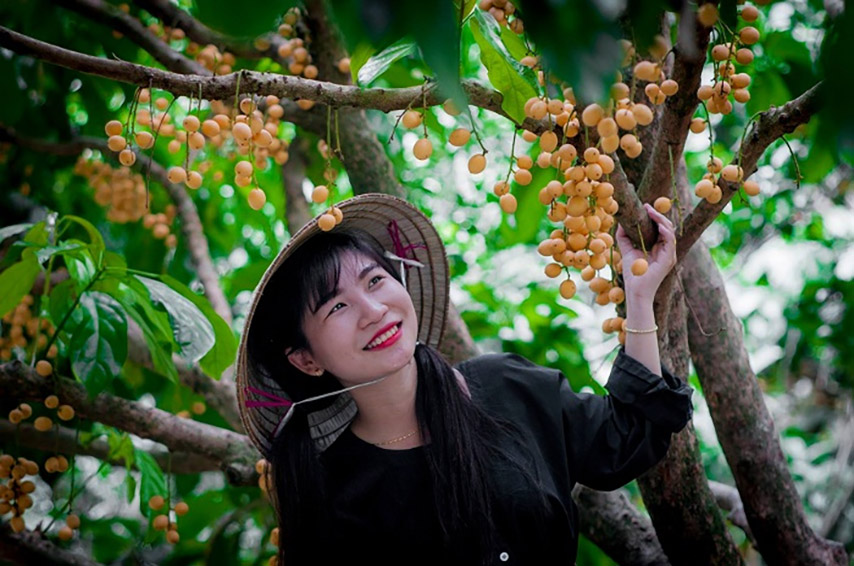 Khi thăm quan vườn, bạn nên lựa chọn trang phục thoải mái, dài, mũ hoặc áo khoác